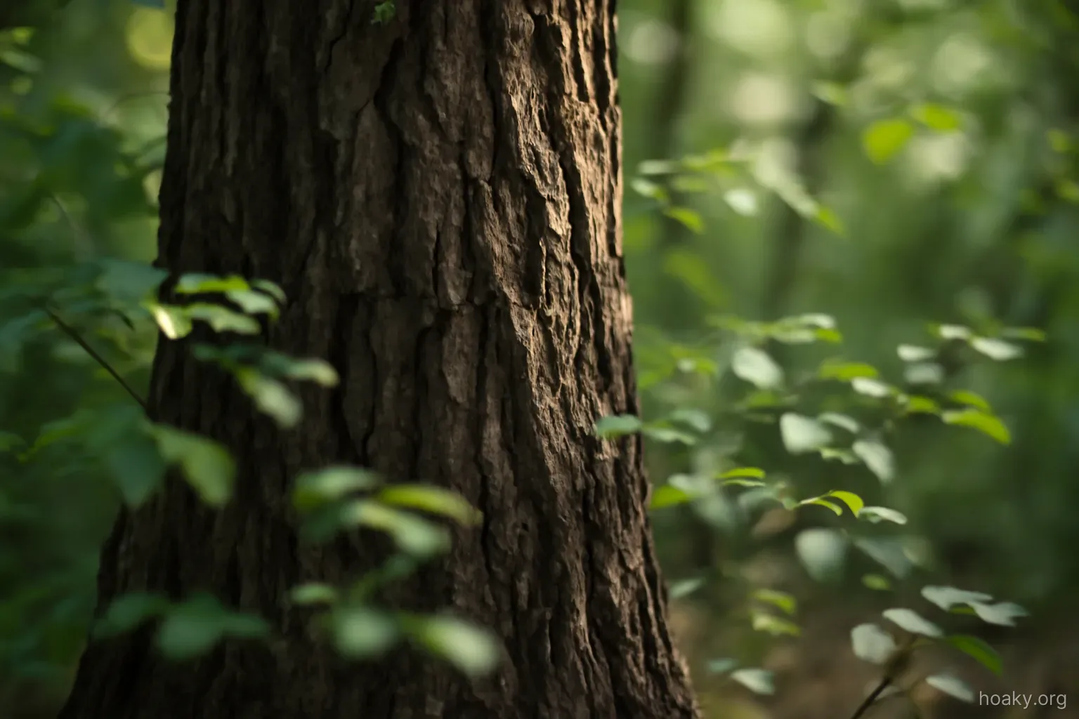 a large old tree trunk with many small leaves moving around it, focus on the still trunk
